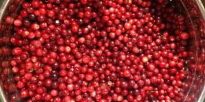 Рецепт компота из брусники на зиму