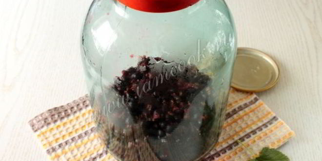 Рецепт компота из черной смородины на зиму