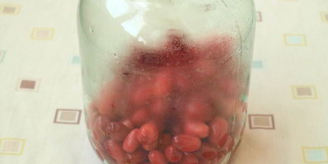 Рецепт компота из кизила на зиму