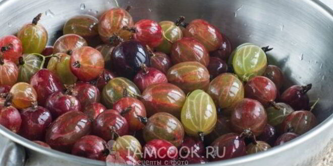 Рецепт компота из красного и зеленого крыжовника на зиму