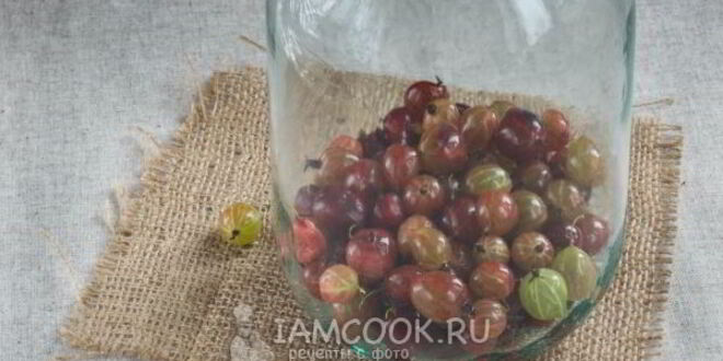 Рецепт компота из красного и зеленого крыжовника на зиму