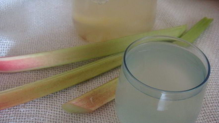 Рецепт компота из ревеня