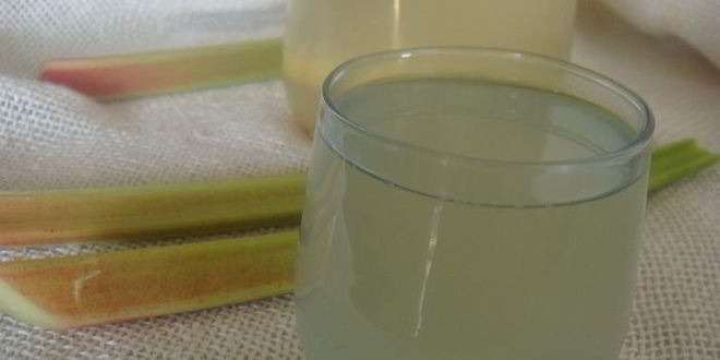 Рецепт компота из ревеня