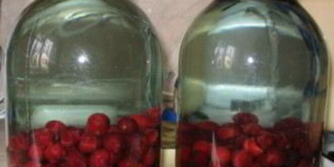 Рецепт компота из вишни с косточками на зиму