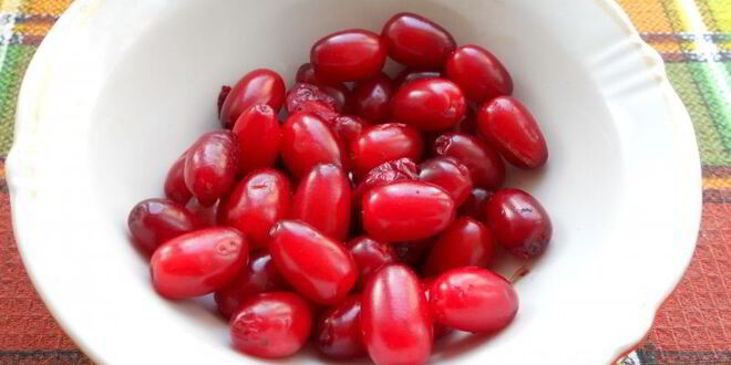 Рецепт компота из яблок и кизила с мятой