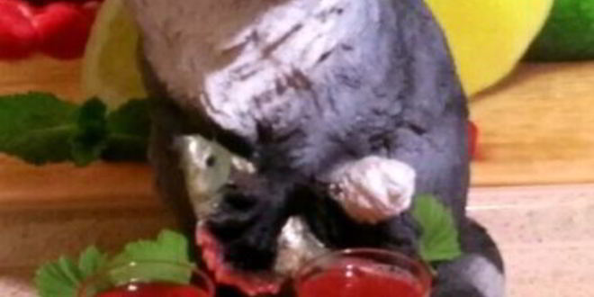 Рецепт компота из замороженной смородины и малины