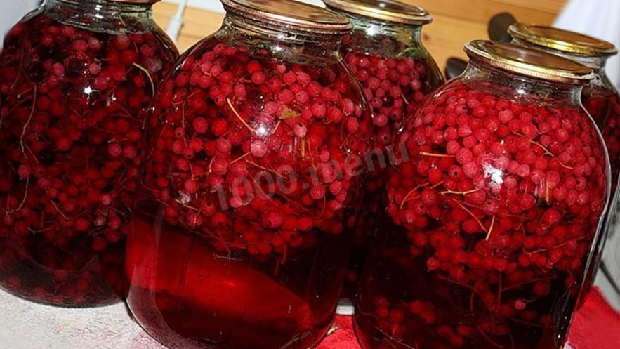 Рецепт компота на зиму из красной и белой смородины