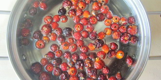 Рецепт компота с шиповником и имбирем