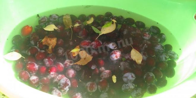 Рецепт сливового компота из сливы с косточками