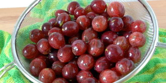 Рецепт ягодного компота на зиму