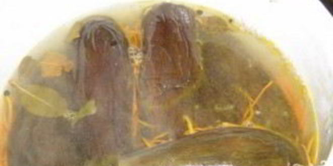 Рецепт квашеных баклажанов с морковкой и чесноком