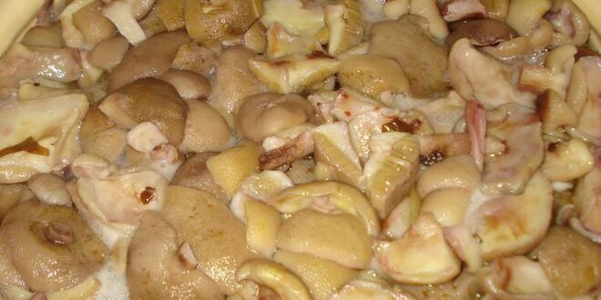 Рецепт грибов маринованных навсегда