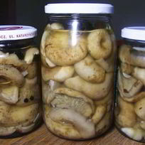 Рецепт Груздей соленых маринованных