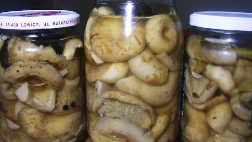 Рецепт груздей соленых маринованных