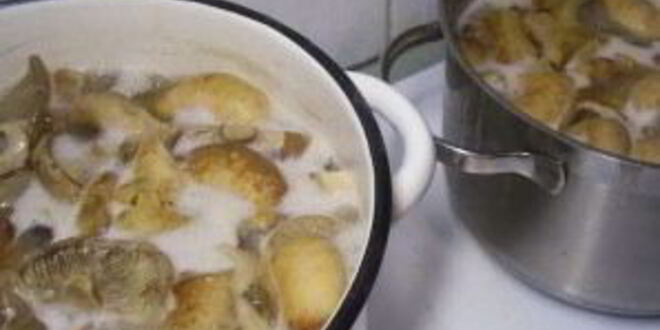Рецепт груздей соленых маринованных