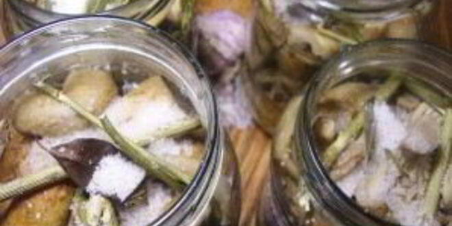Рецепт груздей соленых маринованных