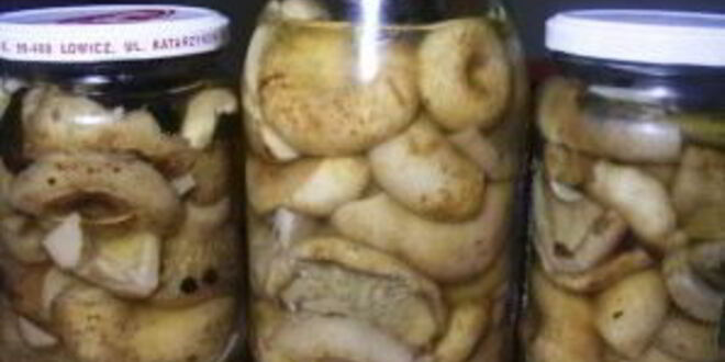Рецепт груздей соленых маринованных