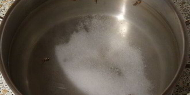 Рецепт маринованной кукурузы в початках