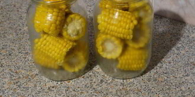 Рецепт маринованной кукурузы в початках