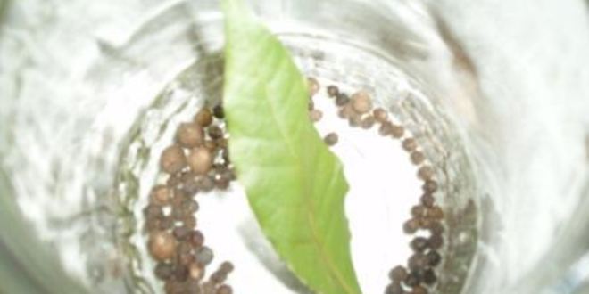 Рецепт маринованной соломки из болгарского перца