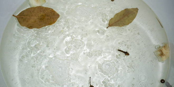 Рецепт маринованных баклажанов под грибы