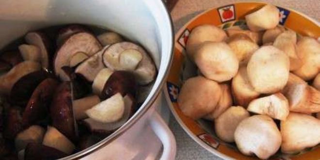Рецепт маринованных боровиков