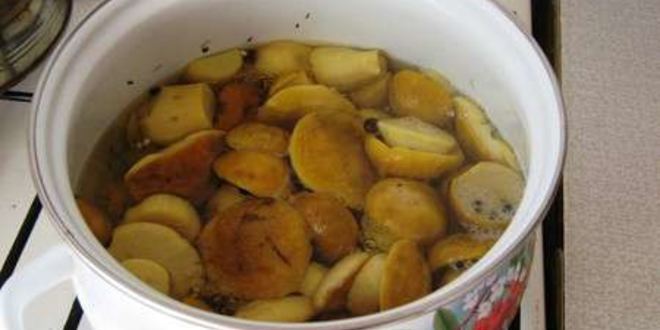 Рецепт маринованных боровиков
