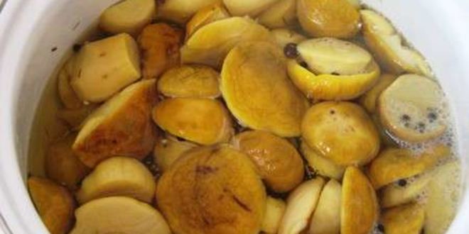 Рецепт маринованных боровиков