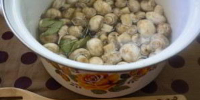 Рецепт маринованных грибов на зиму