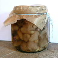 Рецепт Маринованных маслят в собственном соку