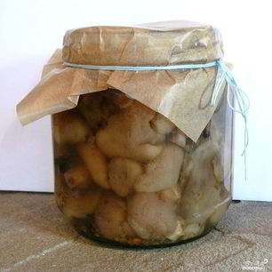 Рецепт Маринованных маслят в собственном соку