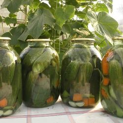 Рецепт Маринованных огурцов на зиму хрустящие без стерилизации