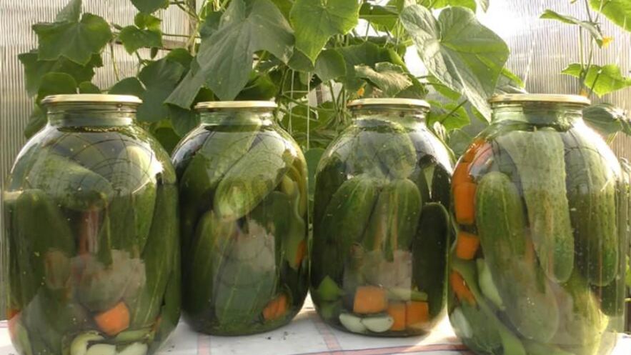 Рецепт маринованных огурцов на зиму хрустящие без стерилизации