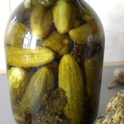Рецепт Маринованных огурцов