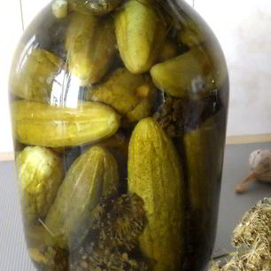 Рецепт Маринованных огурцов