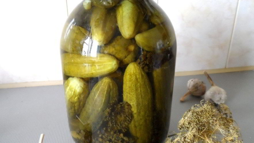 Рецепт маринованных огурцов