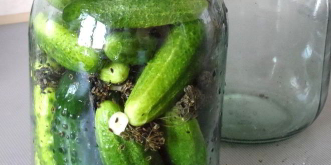 Рецепт маринованных огурцов