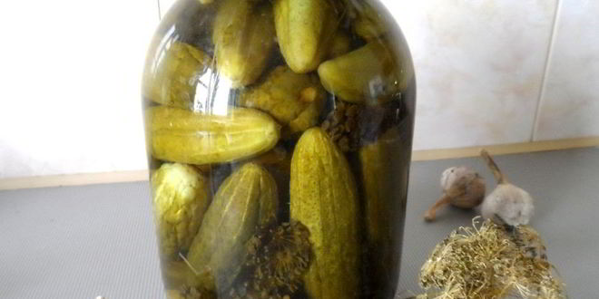 Рецепт маринованных огурцов