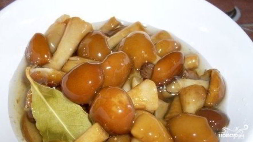 Рецепт маринованных опят в собственном соку