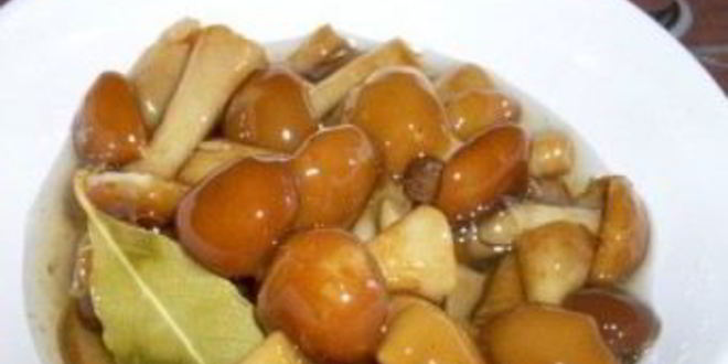 Рецепт маринованных опят в собственном соку