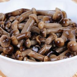 Рецепт Маринованных опят