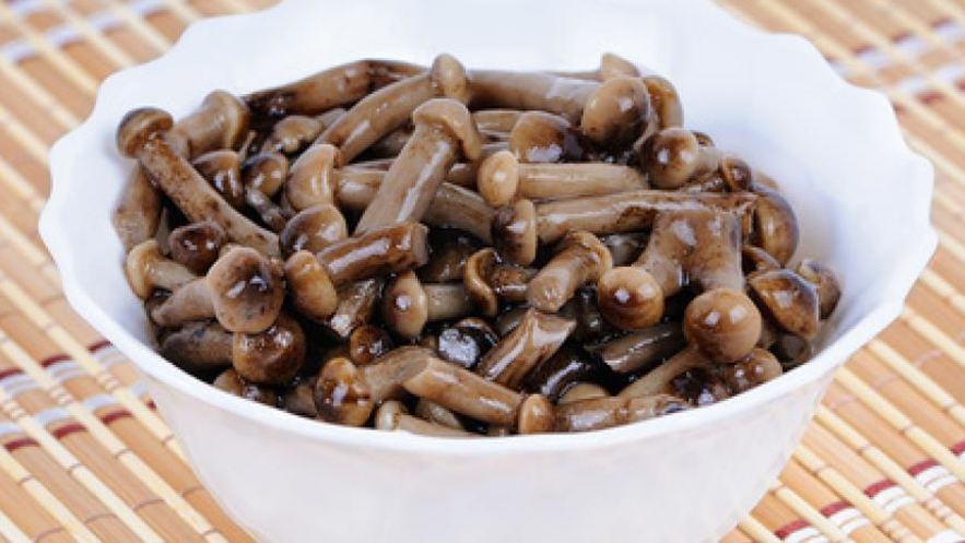 Рецепт маринованных опят