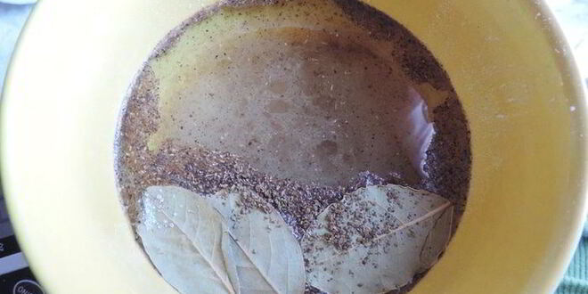 Рецепт маринованных шампиньонов за 20 минут