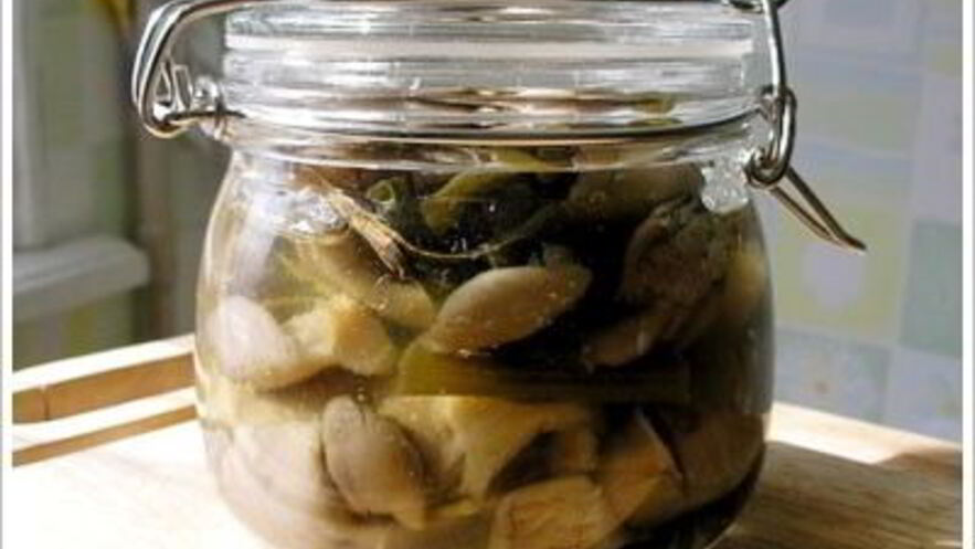 Рецепт маринованных вешенок в мультиварке