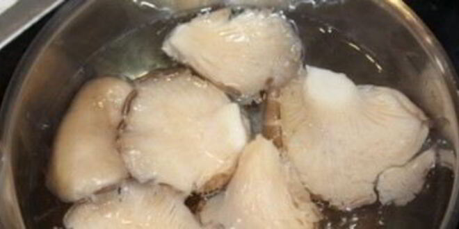 Рецепт маринованных вешенок в мультиварке