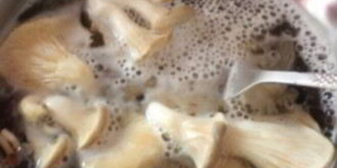 Рецепт маринованных вешенок в мультиварке