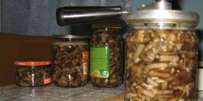 Рецепт маринованных вешенок в мультиварке