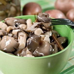 Рецепт Маринованных вешенок за сутки