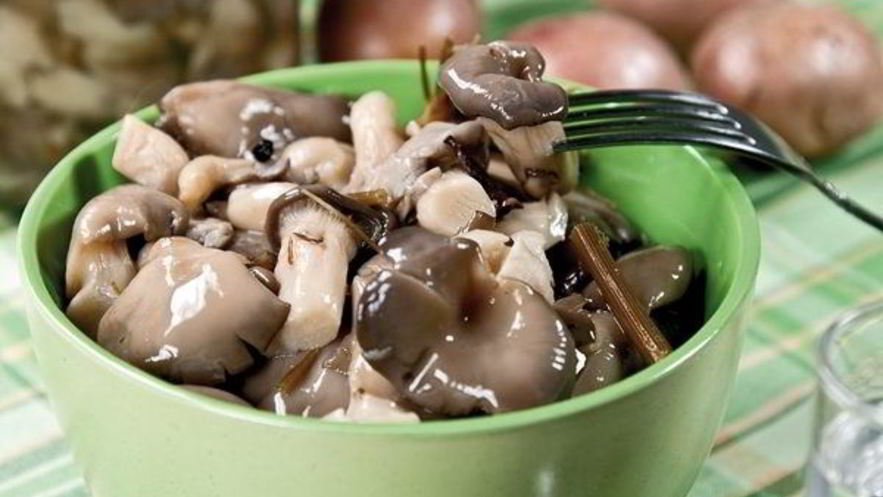 Рецепт маринованных вешенок за сутки