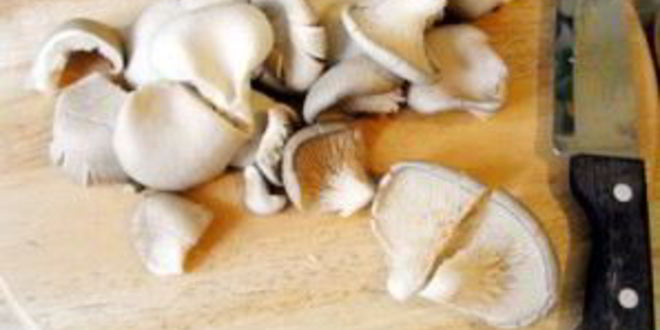 Рецепт маринованных вешенок за сутки